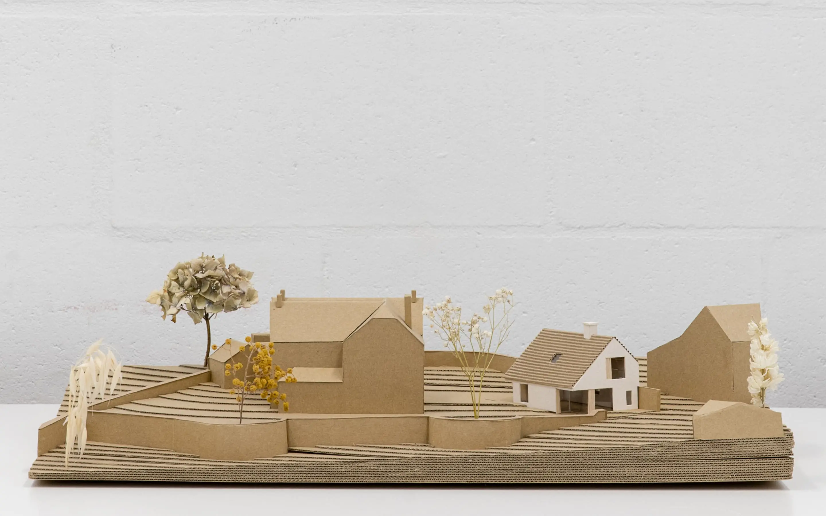 studio fieldwork